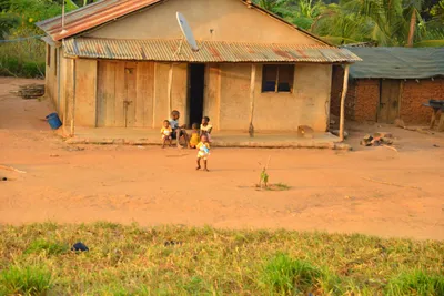 DSC_4317 (Large).JPG